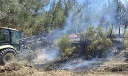 Çanakkale’de tarım arazisinde başlayan yangın ormanlık alana sıçradı