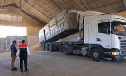 Erzincan’da hububatta ilk hasat başladı