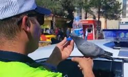Erzincan'da Trafik Polisinden Merhamet Dersi