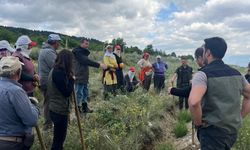 Erzincan’da yeşil vatana kadın eli değiyor