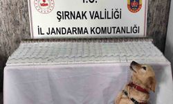 Şırnak’ta 281 bin 500 TL değerinde kaçak malzeme ele geçirildi