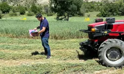 Erzincan’da Yem Bitkisi Ekiliş Alanlarında Yerinde Denetimler Başladı