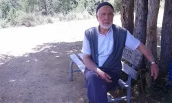 Kene Kelkit'te Can Aldı
