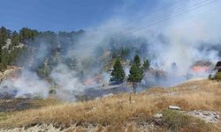 Antalya’da orman yangını