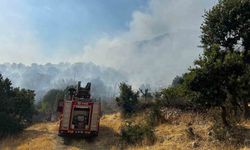 Diyarbakır’da çıkan orman yangınına 9 saattir müdahale devam ediyor