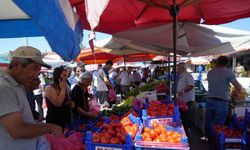 Erzincan domatesi çevre illerde sofraları süslüyor