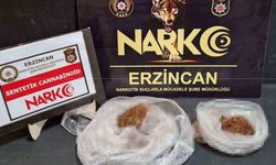 Erzincan’da Bonzai Operasyonu