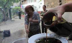Erzincan’ın Kemaliye İlçesinde Dut Pekmezi Mevsimi Başladı