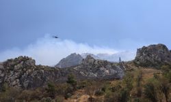 Hatay’da orman yangını