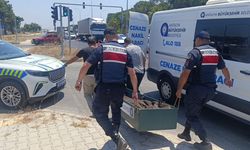 Kanserle savaşını kazandı, trafikte hayatını kaybetti