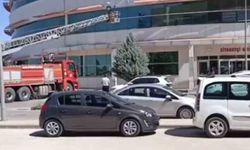 Mardin’de hastanenin dış cephesinde mahsur kalan kedi kurtarıldı