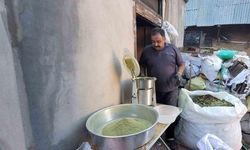 Zetrin Nedir? 120 Bitkinin Gücüyle Doğadan Sofraya
