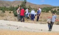 Buğday yüklü traktör devrildi: 2 ölü