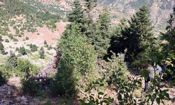 Otomobil Uçuruma Yuvarlandı: 2 Ölü