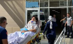 Erzincan-Sivas Karayolunda Feci Kaza: 1’i Çocuk 3 Ölü, 6 Yaralı