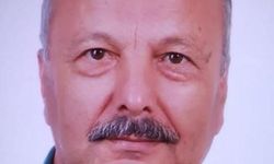 Otomobilin çarptığı emekli yarbay hayatını kaybetti