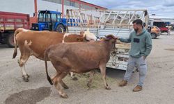 Kurban pazarı hareketlendi