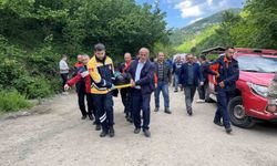 Şelale göletine giren çocuk boğuldu