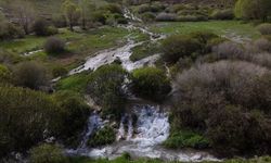 Ağ Nene'nin gizemli suyu yeniden uyandı