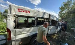 Minibüs tarlaya uçtu: 8 yaralı