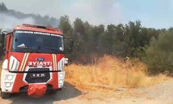 Balıkesir'de orman yangını