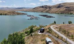 Erzincan’da Yetiştirilen Alabalıklar Türk Somonuna Dönüşüyor