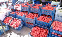 Erzincan’da Salçalık Domates 100 Lirayı Gördü