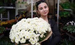 Sonbaharın Gözdesi Kasımpatı ve Sıklamen Oldu