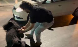 Ters Yöne Giren Kadın Sürücü Ortalığı Birbirine Kattı