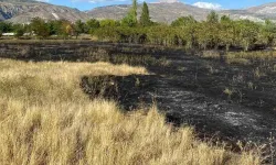 Erzincan'da anız yangını büyümeden söndürüldü