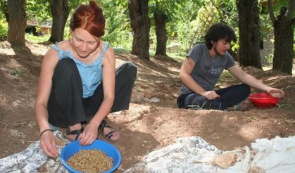 Erzincan'da çiftlikte çalışarak tatil