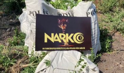 Bursa NARKO'dan şafak operasyonu: 135 gözaltı