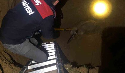 Bingöl’de 3 metrelik çukura düşen köpeği itfaiye kurtardı