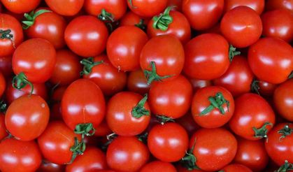 Ankaralılar 2023 yılında en çok domates ve karpuz tüketti