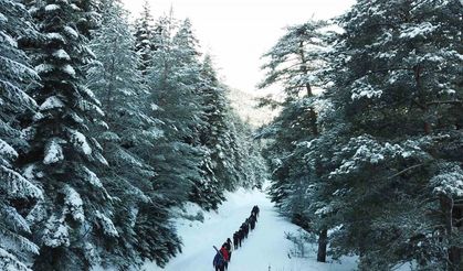 Gümüşhaneli dağcılardan Kalis Yaylasına unutulmaz kış yürüyüşü