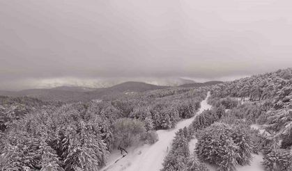 Kazdağı Milli Parkı’nda kar manzaraları dron ile görüntülendi
