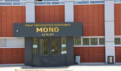 Elazığ'da iş makinesinin altında kalan işçi, hayatını kaybetti