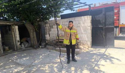Evin bahçesinde görülen 2 karayılan paniğe neden oldu