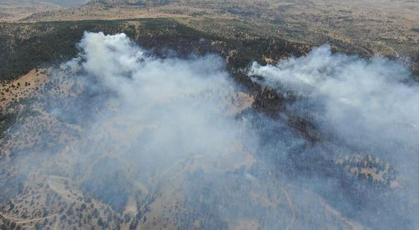 Erzincan'da ormanlık alanda çıkan yangın söndürüldü