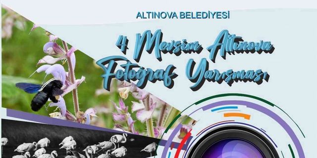 Altınova Fotoğraf Yarışması başvuruları başladı