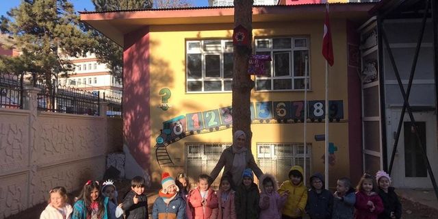 Anaokulu öğrencilerinin tasarladığı kuş evleri okul bahçesindeki yerini aldı
