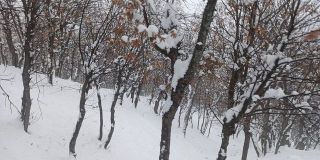 Batmanda 80 köy yolu kar yağışı nedeniyle ulaşıma kapandı