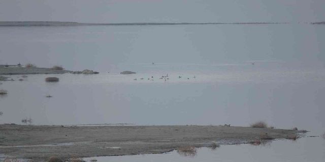 Göller bölgesinde kuşların izini sürüyorlar