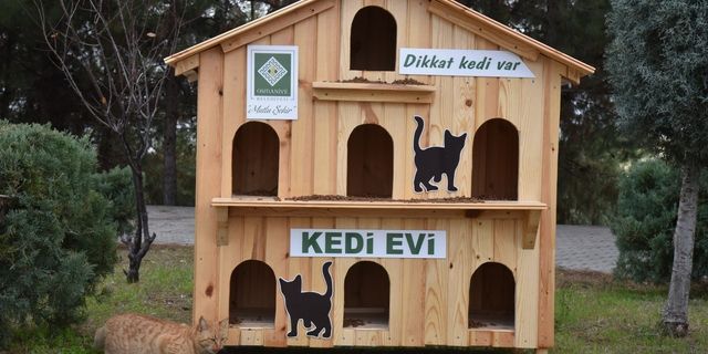 Osmaniye Belediyesinin kedi evleri "can dostlara" yuva oldu