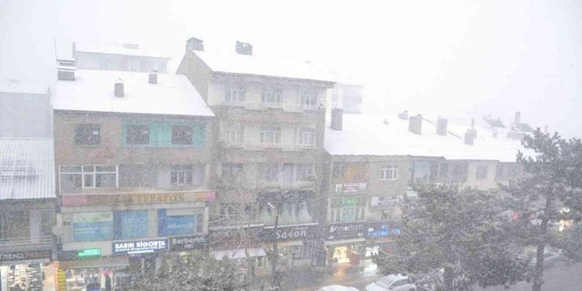 Tatvan’da kar yağışı başladı