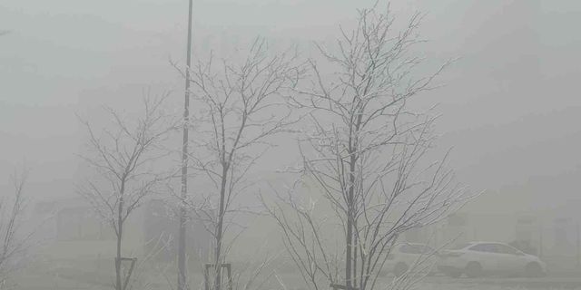 Yoğun sis Aksaray’ı etkisi altına aldı