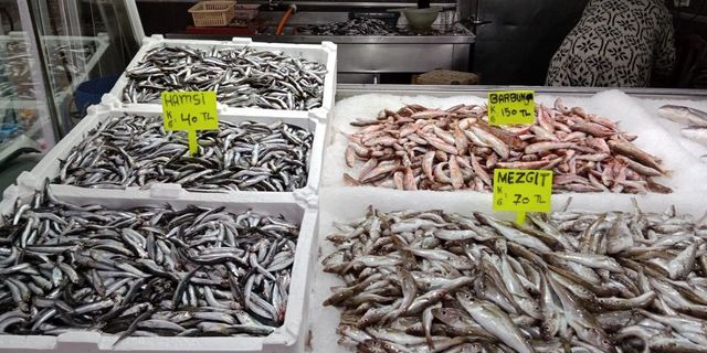 Akçakoca’da balıkçılar balık azlığından dertli