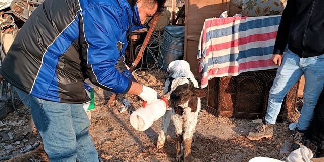 Iğdır’dan deprem bölgesine giden veteriner hekimler geri döndü