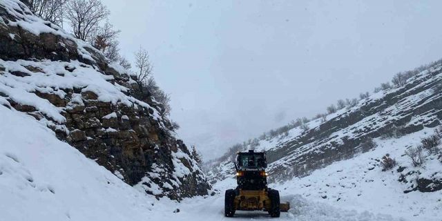 Kar Şırnak’ı etkisi altına aldı, 9 köy yolu ulaşıma kapandı