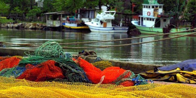 Karasu Somon Balığı İşleme Tesisi kurulacak
